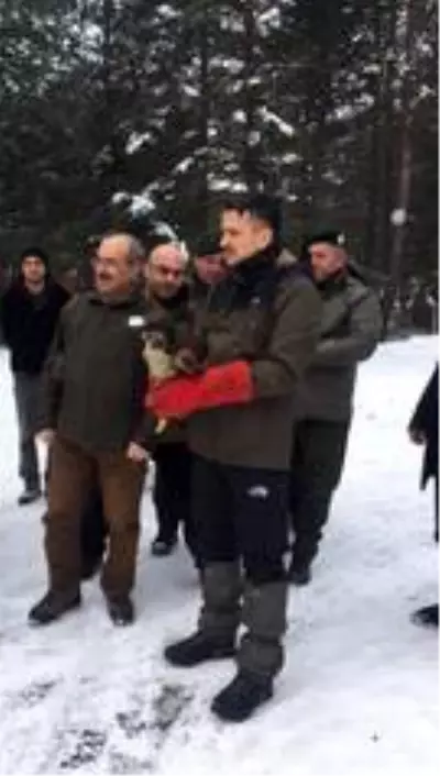 Bakan Pakdemirli, iyileşen gökdoğanı doğaya bıraktı Bakan Pakdemirli, iyileşen gökdoğanı doğaya bıraktı