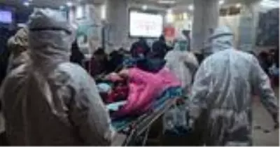 Bilim adamlarından koronavirüs ile ilgili yeni söylenti: Araştırma laboratuvarında çıkmış olabilir