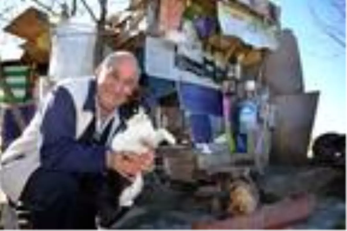 İşçi emeklisi, hayatını sokak kedilerine adadı