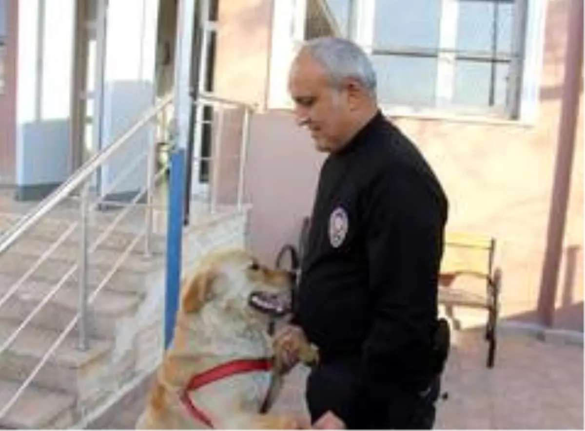 Kaybolan köpek karakola sığındı