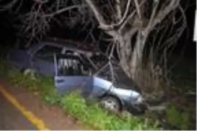 Kontrolden çıkan otomobil ağaca çarptı: 2 yaralı