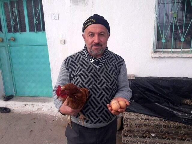 Yumurtladığı ilk günden beri yumurtalarının üzerinde 'Allah' yazısı olan tavuk
