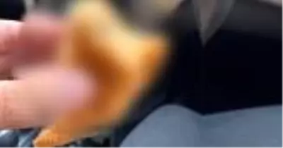Avustralya'da bir kadının sipariş verdiği hamburgerin içinden metal çubuk çıktı