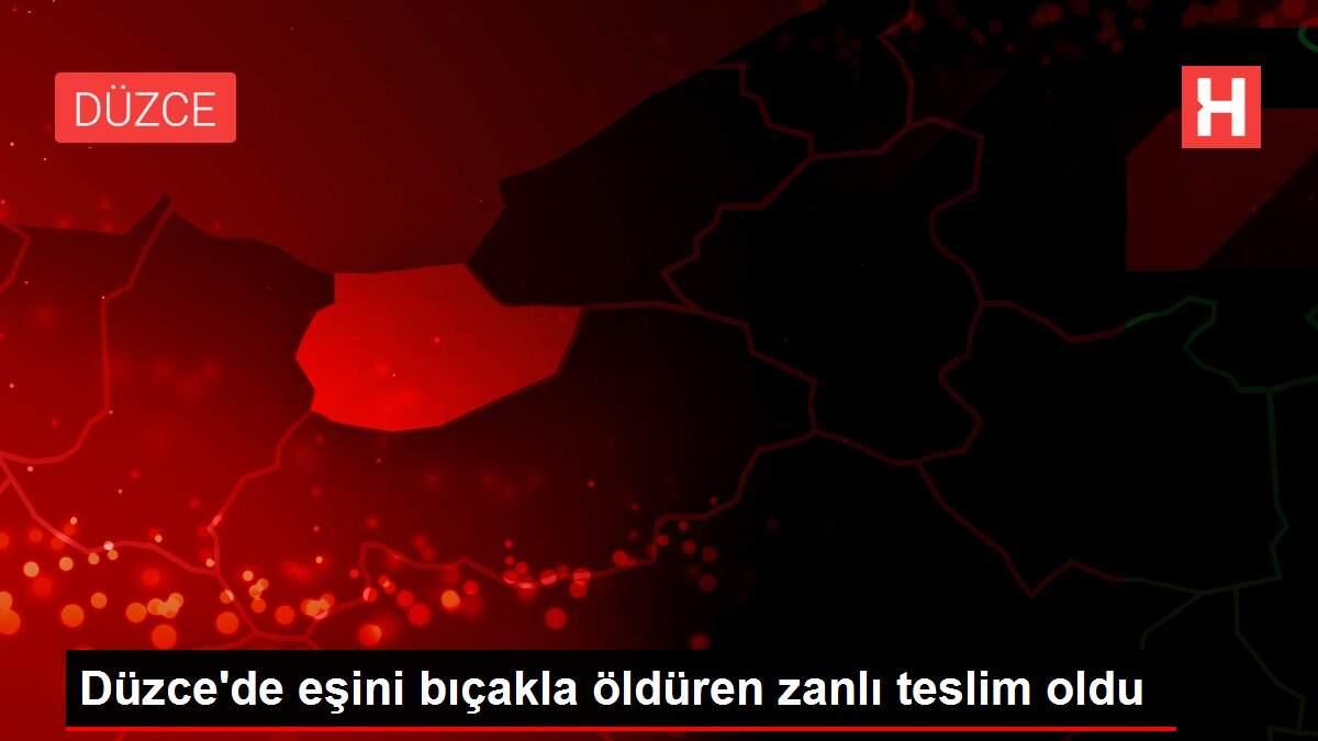Düzce'de eşini bıçakla öldüren zanlı teslim oldu
