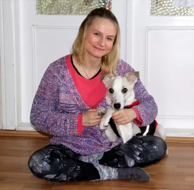 Sokak köpeği &quot;Pamuk&quot;un hayatı &quot;Heidi&quot; ile değişti haberi fotografı