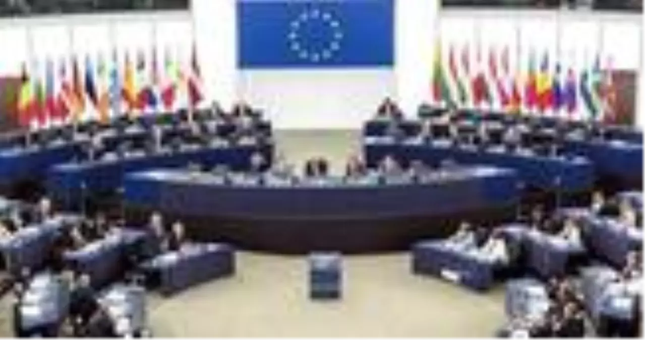 Avrupa Parlamentosu Türkiye Raportörü'nden Gezi Parkı davası yorumu: Sevinçliyiz