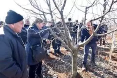 Budama eğitimini teoriden pratiğe döktüler Budama eğitimini teoriden pratiğe döktüler