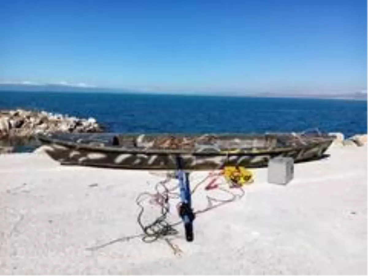 Elektroşokla balık avı yapanlara 147 bin liralık ceza!