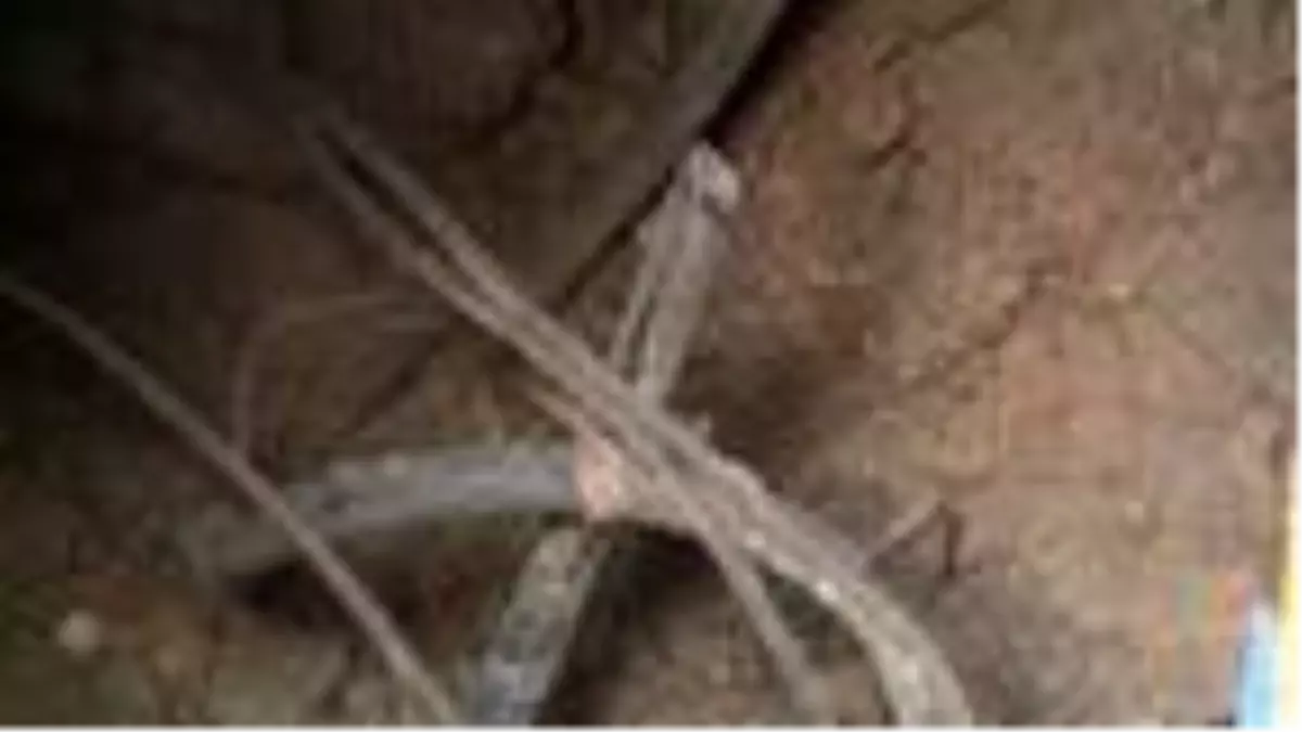 Kablo hırsızlığı internet kesilince ortaya çıktı