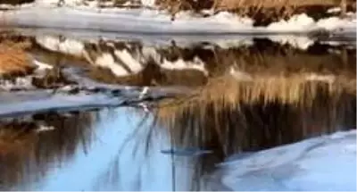 Kars'ta ortaya çıktı