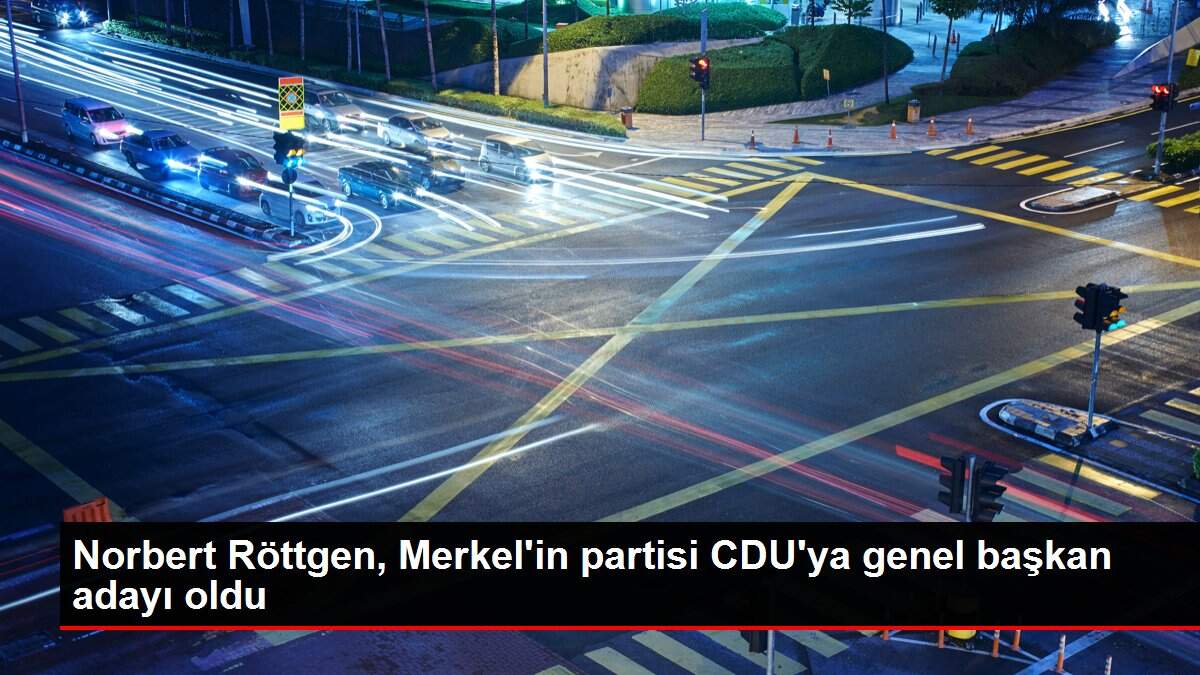 Norbert Röttgen, Merkel'in partisi CDU'ya genel başkan adayı oldu