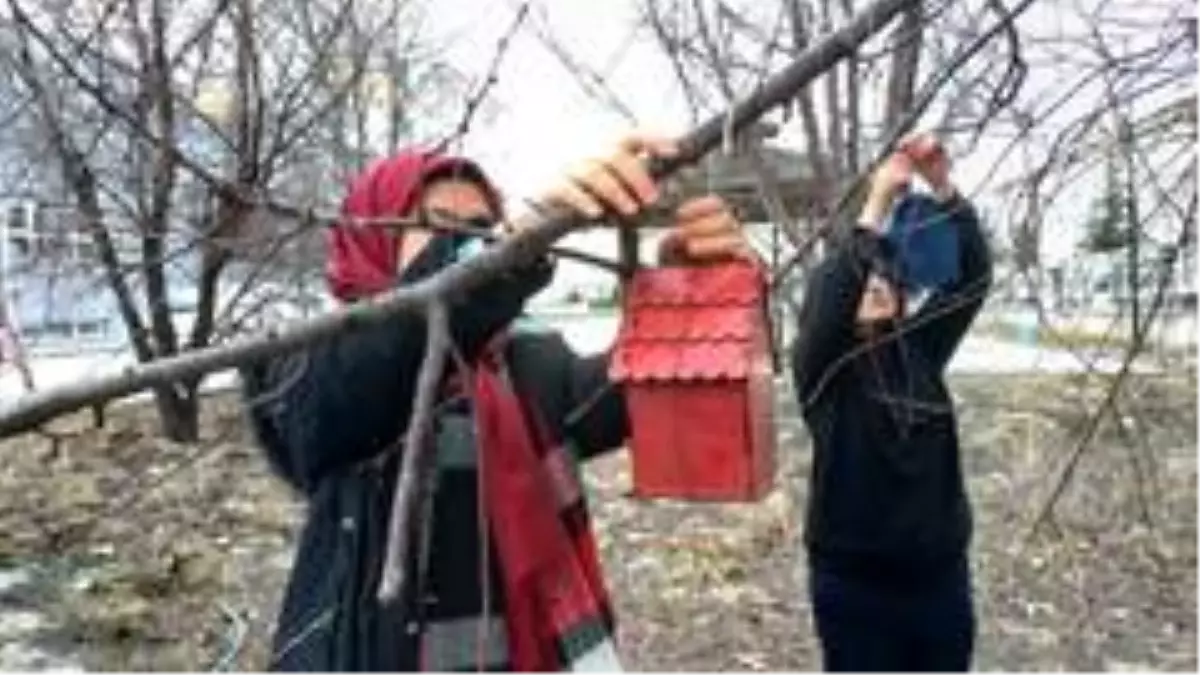 Okul bahçesine kuş evleri