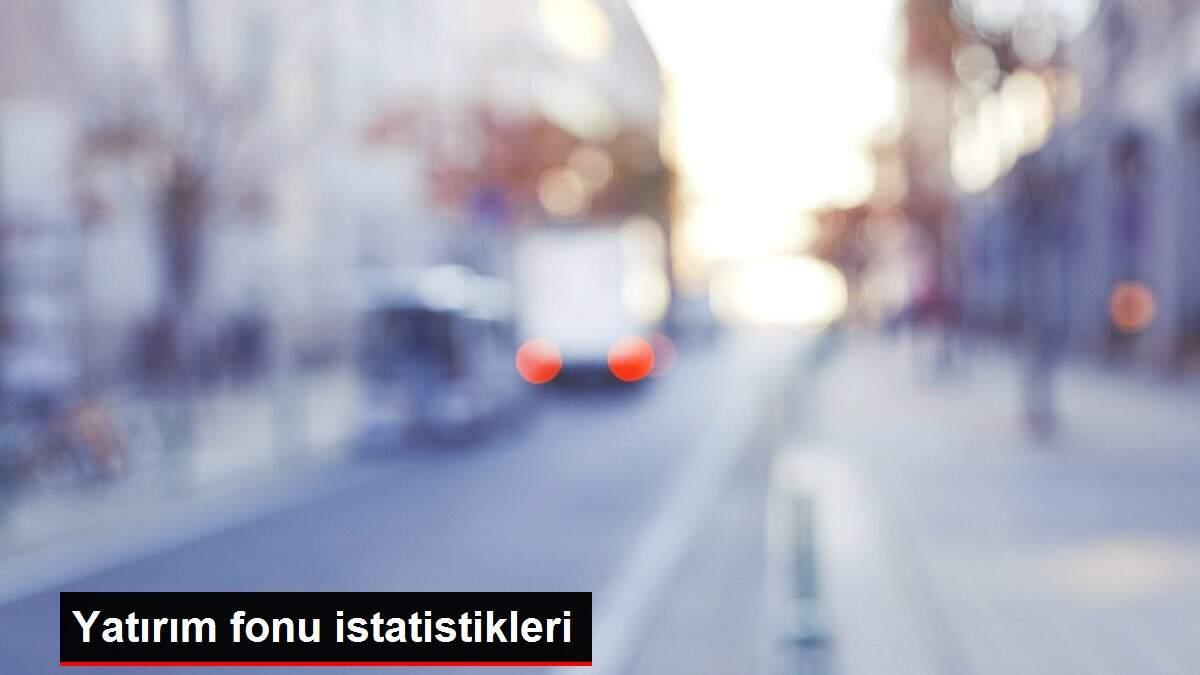 Yatırım fonu istatistikleri