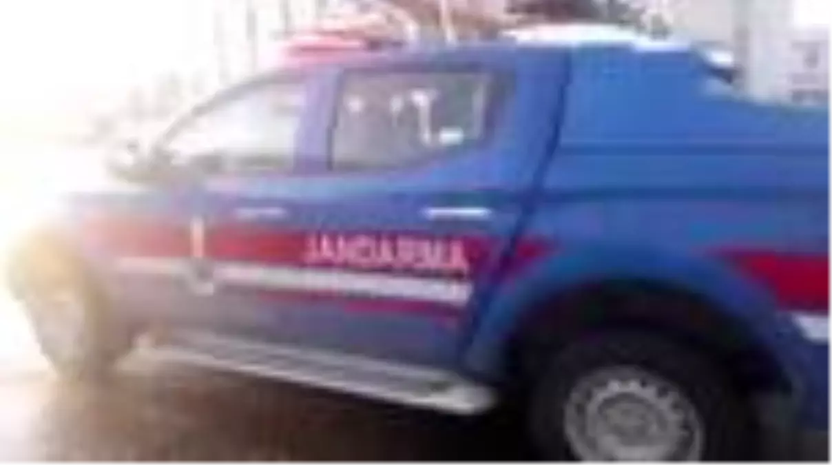 Çeşitli dönemlere ait 4 bin 51 sikke ele geçirildi