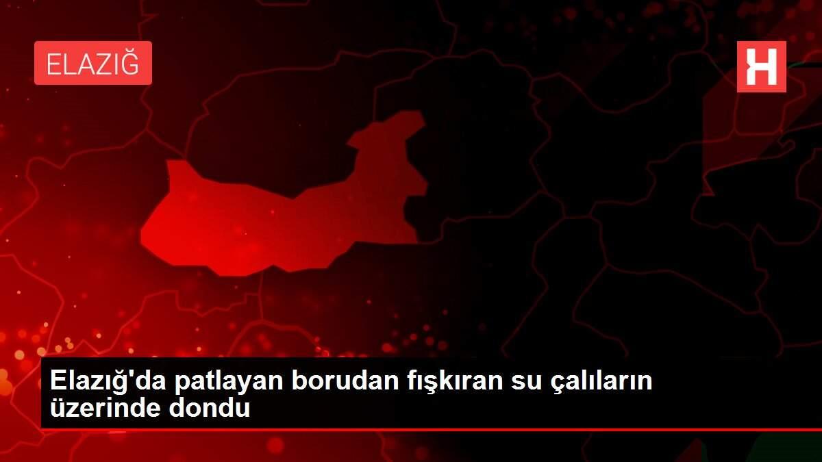 Elazığ'da patlayan borudan fışkıran su çalıların üzerinde dondu