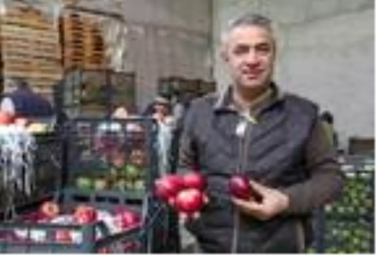 Elma ticaretinde 'Habur' hareketliliği