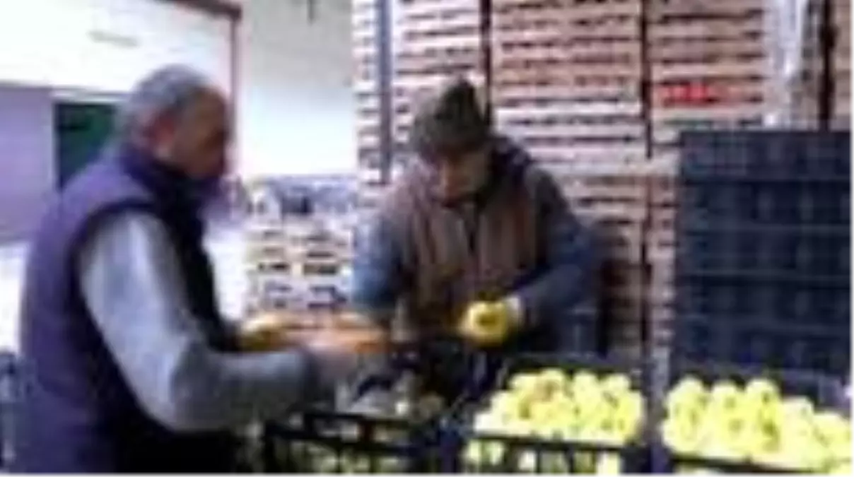 Elmada yüzde 20 'habur' hareketliliği