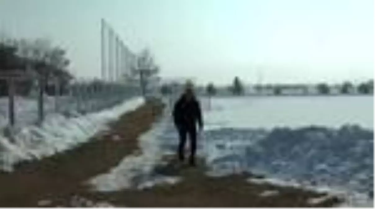 Sivasspor'da Alanyaspor maçı hazırlıkları sürüyor