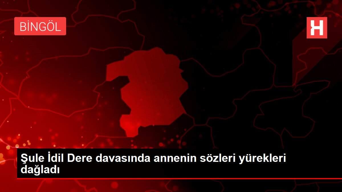 Şule İdil Dere davasında annenin sözleri yürekleri dağladı