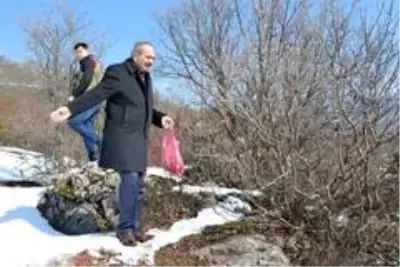 Torul'da yaban hayatı unutulmadı