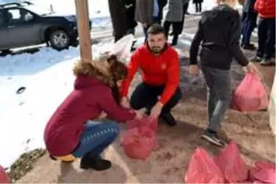 Torul'da yaban hayatı unutulmadı