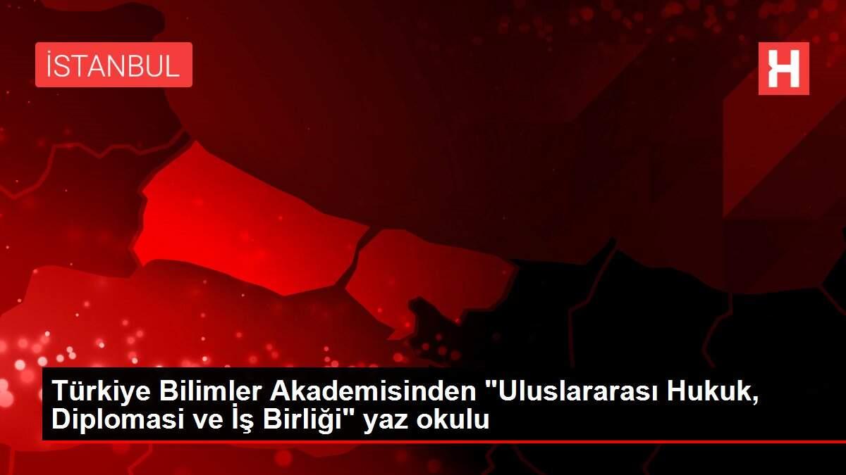 Türkiye Bilimler Akademisinden 'Uluslararası Hukuk, Diplomasi ve İş Birliği' yaz okulu