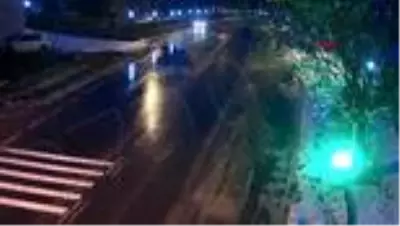 Ankara’da hayvan heykellerinin yıkılması mobese kamerasında