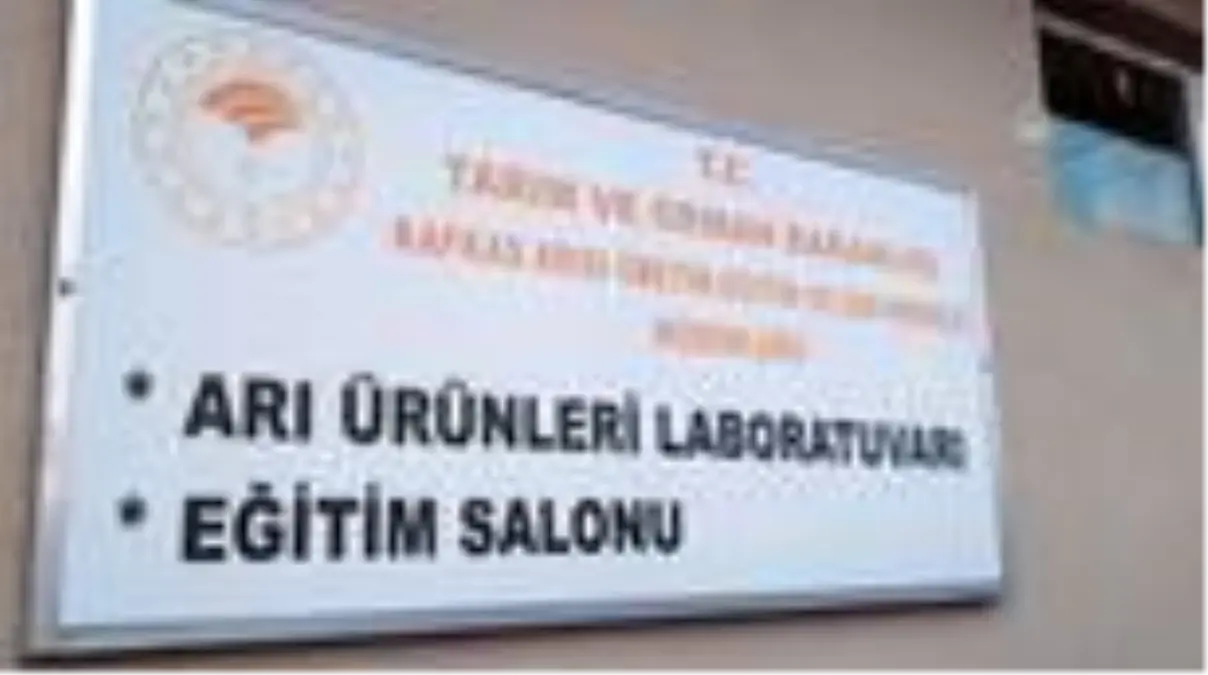 Arıcılığın önemine dikkati çekmek için kursiyer oldular