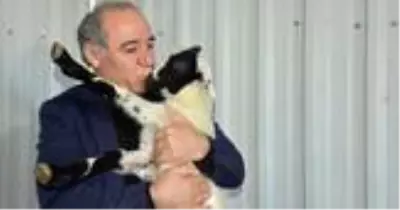 Çobanlıktan fabrikatörlüğe uzanan ibretlik bir hayat hikayesi