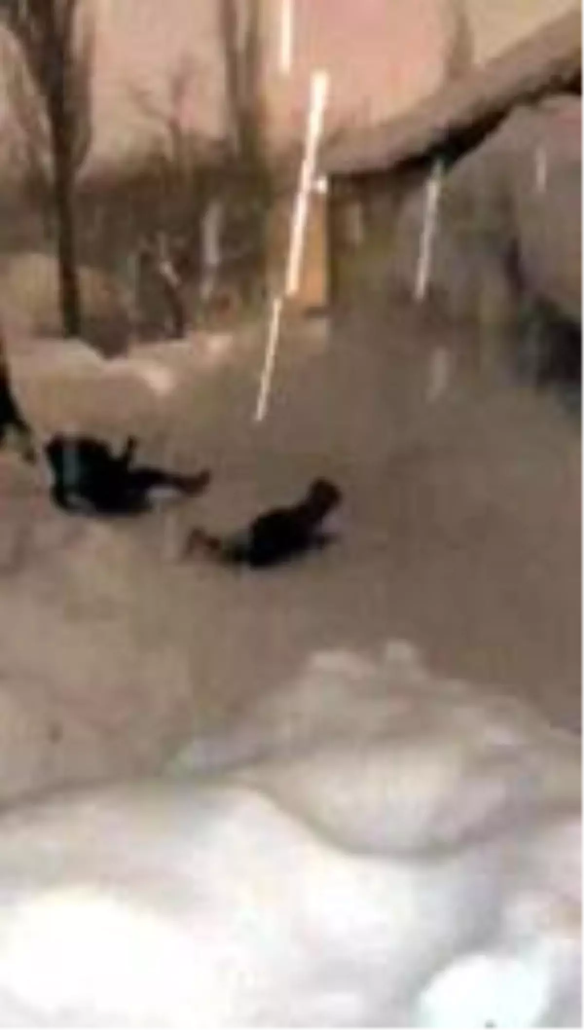 Kar yığını altında kalmaktan son anda kurtuldular