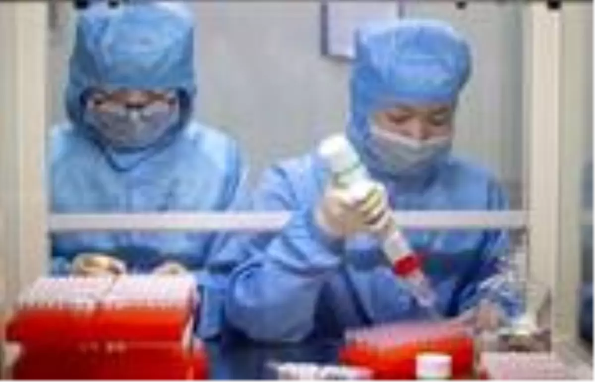 Kovid-19'un insan hücrelerine yayılmasını sağlayan proteinin yapısı çözüldü