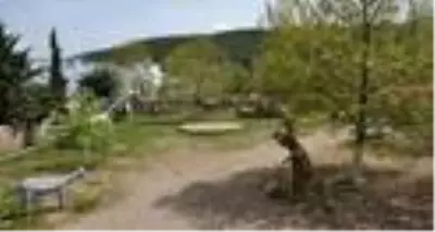 Personele borcu olan belediye, hayvanları satışa çıkardı Personele borcu olan belediye, hayvanları satışa çıkardı