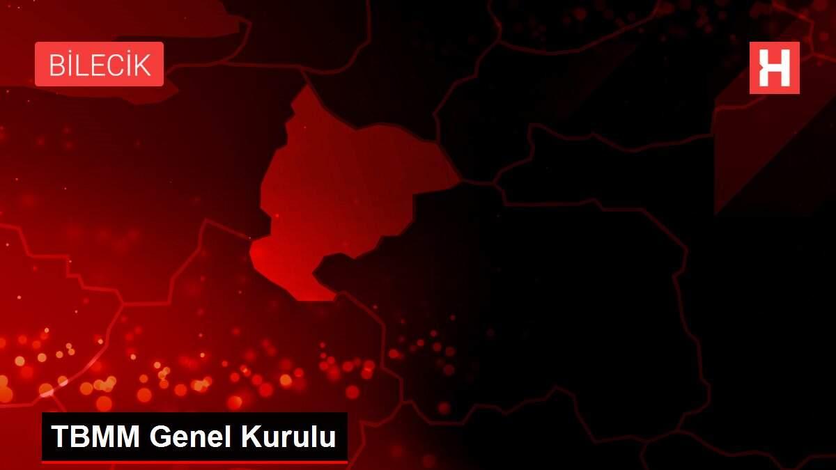 TBMM Genel Kurulu TBMM Genel Kurulu