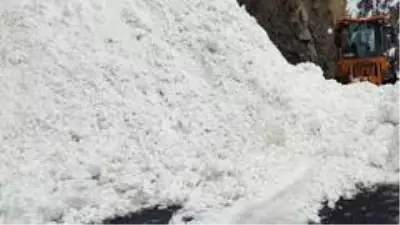 AK Parti Hakkari İl Teşkilatı, çığ tehlikesinden son anda kurtuldu.