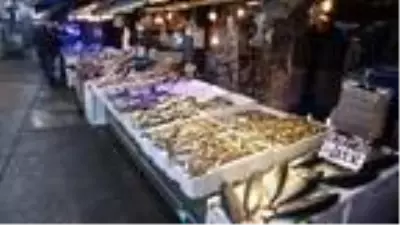 Karadeniz'de palamut geri döndü