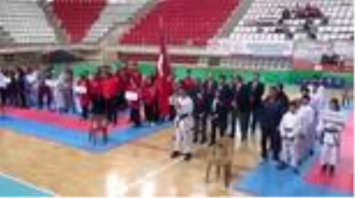 ANALİG Karate Grup Müsabakaları başladı