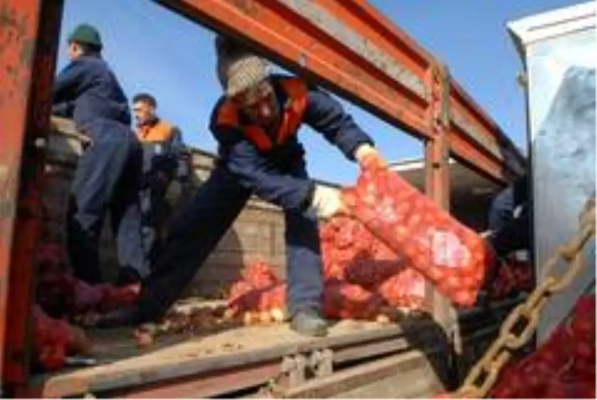 Büyükşehir'den sosyal yardım alan ailelere gıda desteği