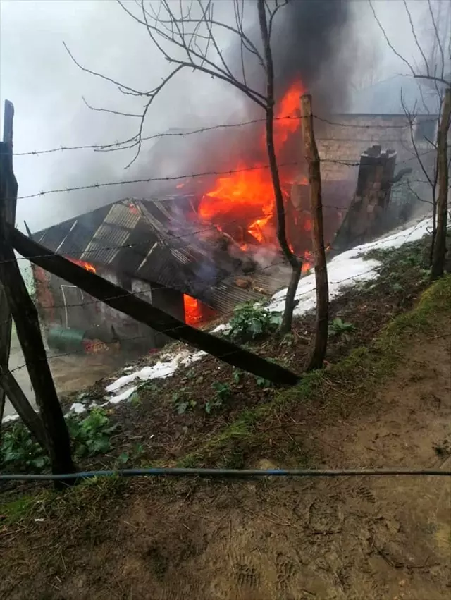 Giresun�da yangın çıkan ev kullanılamaz hale geldi Haber