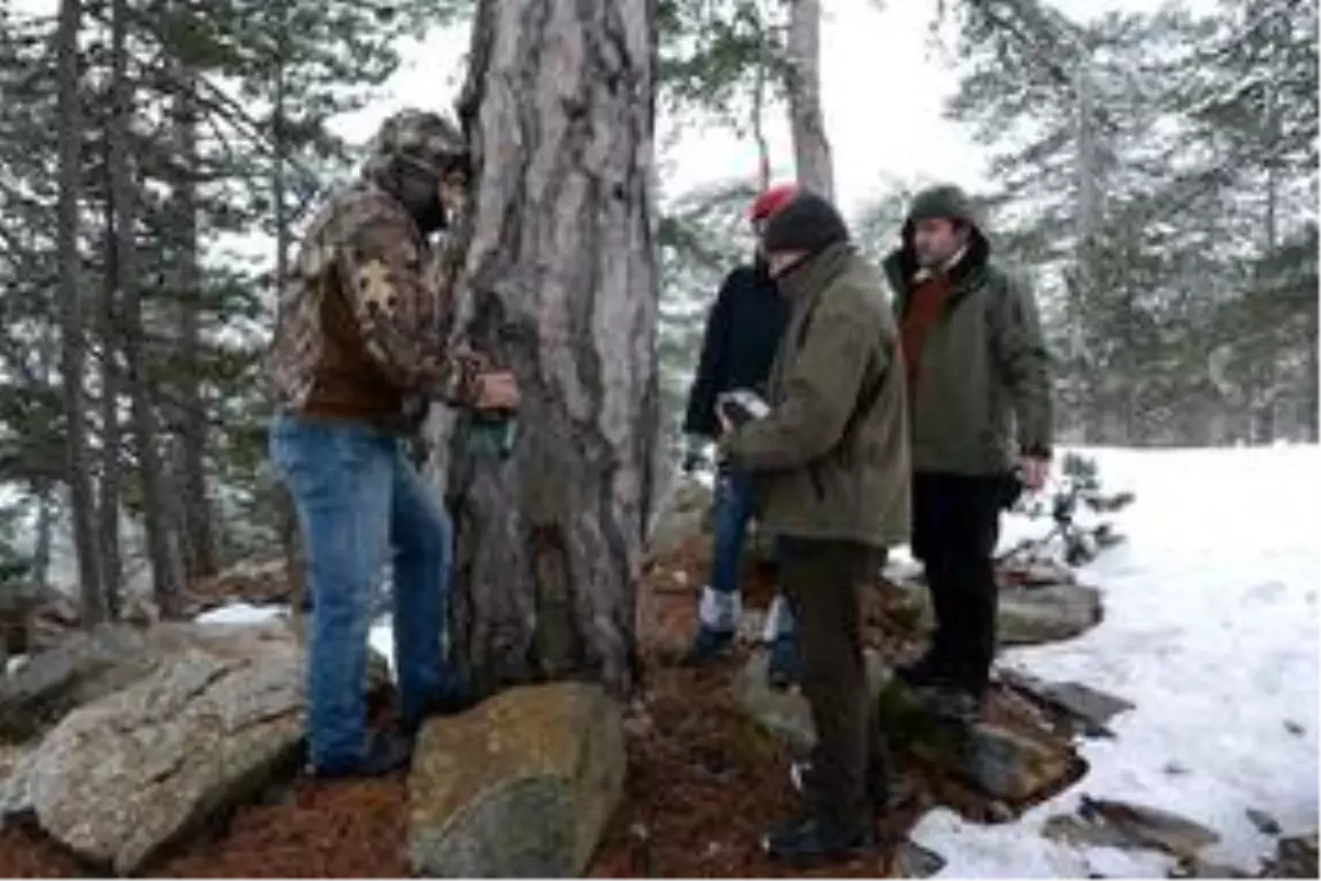 Kazdağları'ndaki yaban hayatı fotokapanlarla araştırılacak