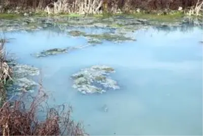 Kırklareli'nde Teke Deresi'ndeki kirlilik araştırılıyor