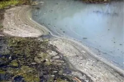 Kırklareli'nde Teke Deresi'ndeki kirlilik araştırılıyor