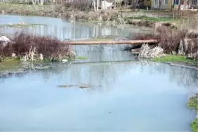 Kırklareli'nde Teke Deresi'ndeki kirlilik araştırılıyor