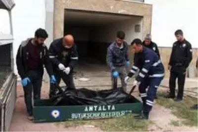 Kullanılmayan binanın asansör boşluğunda ölü bulundu