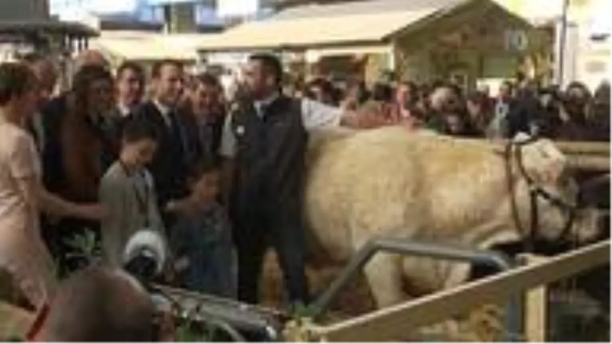 Macron, Paris Tarım ve Hayvancılık Fuarı'nda çiftçilerle buluştu