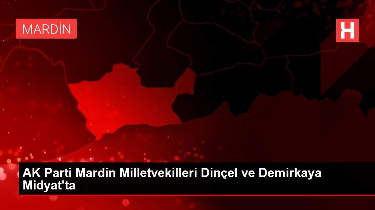 AK Parti Mardin Milletvekilleri Dinçel ve Demirkaya Midyat'ta