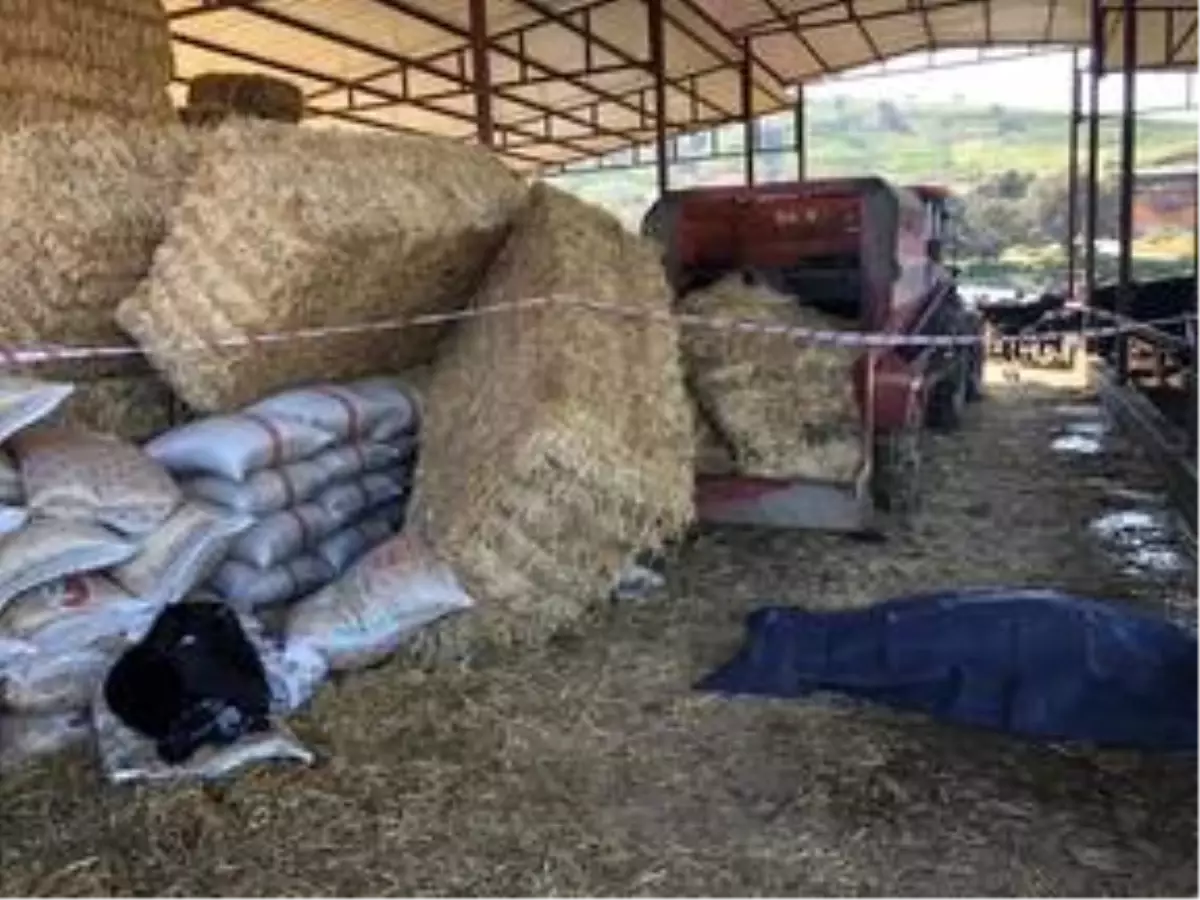 Aydın'da saman balyalarının altında kalan mahalle muhtarı öldü