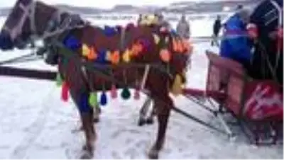 Bakan ersoy, çıldır gölü'nde atlı kızağa bindi, eskimo usulü balık avladı