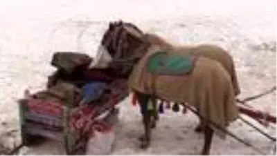 Bakan Ersoy Çıldır Gölü'nde atlı kızağa bindi, balık tuttu