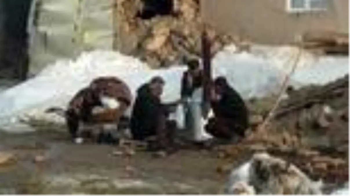 Depremde hasar gören Özpınar Mahallesi'nde çadırlar kuruldu