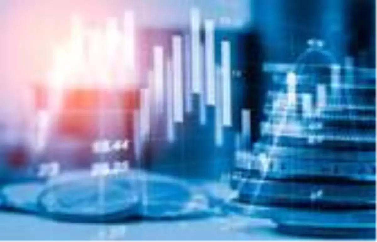 Katılım endeksi yükselişini yeni yıla da taşıdı